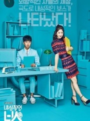 Ông Chủ Bí Ẩn - Introverted Boss 