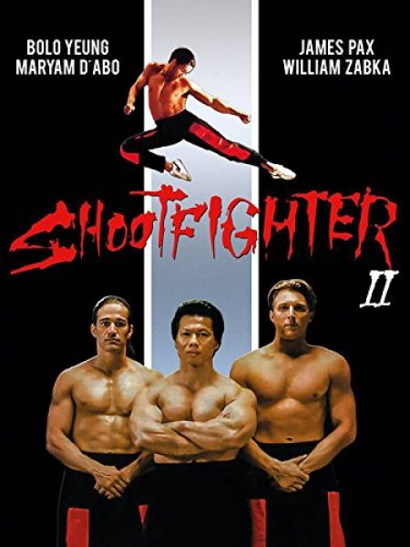 Trận Chiến Cuối Cùng 1996 - Shootfighter 2